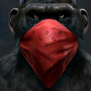 archimozuz@gmail.com