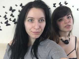 2Latrodectus