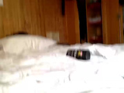 Настя Рыбка