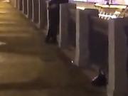 Секс на столичной набережной Рыбка