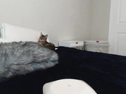 MaryWana_