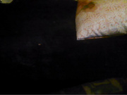 приват в скайпе и на сайте www.beboo.ru