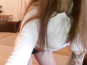 -sweetfox-
