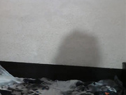 sexycouplex12