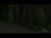 Маша Рябушкина в лесу 2