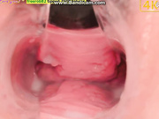 Laura_Webber    PUSSY