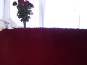 vesta_sweet