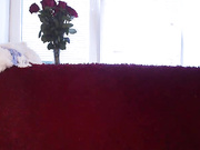vesta_sweet