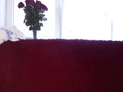 vesta_sweet