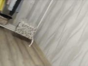 kissamorous blow job