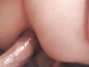Nikostacy
