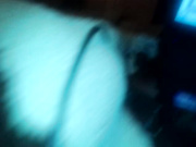 video-2014-05-25-17-32-12