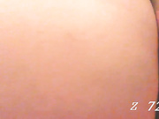 StallBeaver