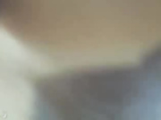 рунетка Swetty25