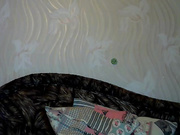 elizabeth_26