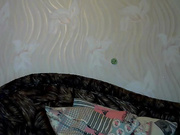 elizabeth_26