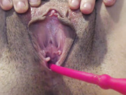 xostefanny