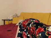 DeniEVa