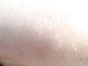 Bagirafox, Bagirafoxy