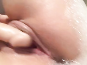 Bagirafox, Bagirafoxy