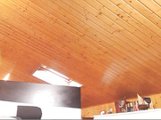 wildtequilla anal sex and squirt