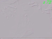 Lilisenok 4 ха-хе-ху