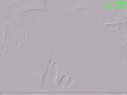 Lilisenok 4 ха-хе-ху