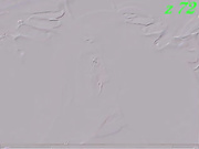 Lilisenok 4 ха-хе-ху