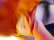 SexyViagra69