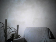 ElisShine
