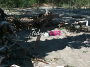 Maria Ryabushkina - Shells