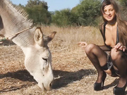 Maria - Donkey