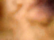 silrisi