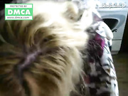 bandicam 2019-04-20helpmee