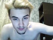 OstinModel