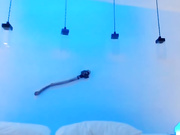 KillersTits