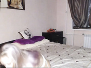 NakedLadyCat
