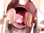 artmaya
