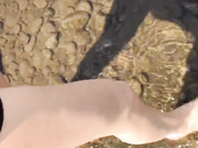StellaFlex