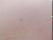 _LANA_ с двумя камариками