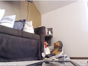 milf_lacey ride dildo