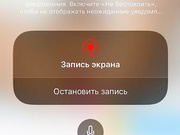 Evelina_fox дрочит свою киску