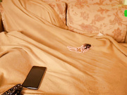 Gessifossa сквирт