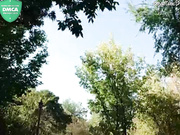 ButterflySay 2019-08-24 14-09-00-680