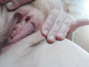 planet_Koshka киса крупным планом