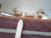 sexycat555