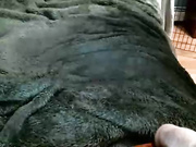 creamycunt9
