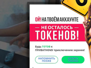 Koshka8