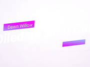 Dawn Willow