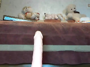 sexycat555